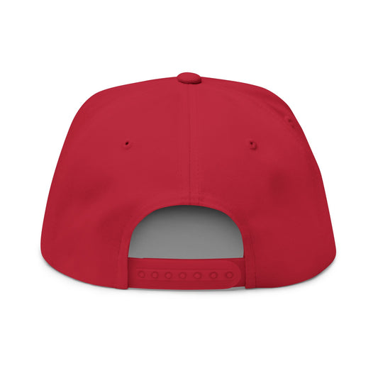 Flat Bill Cap — 'MAKE INSANE ASYLUM GREAT AGAIN ' Embroidered Snapback