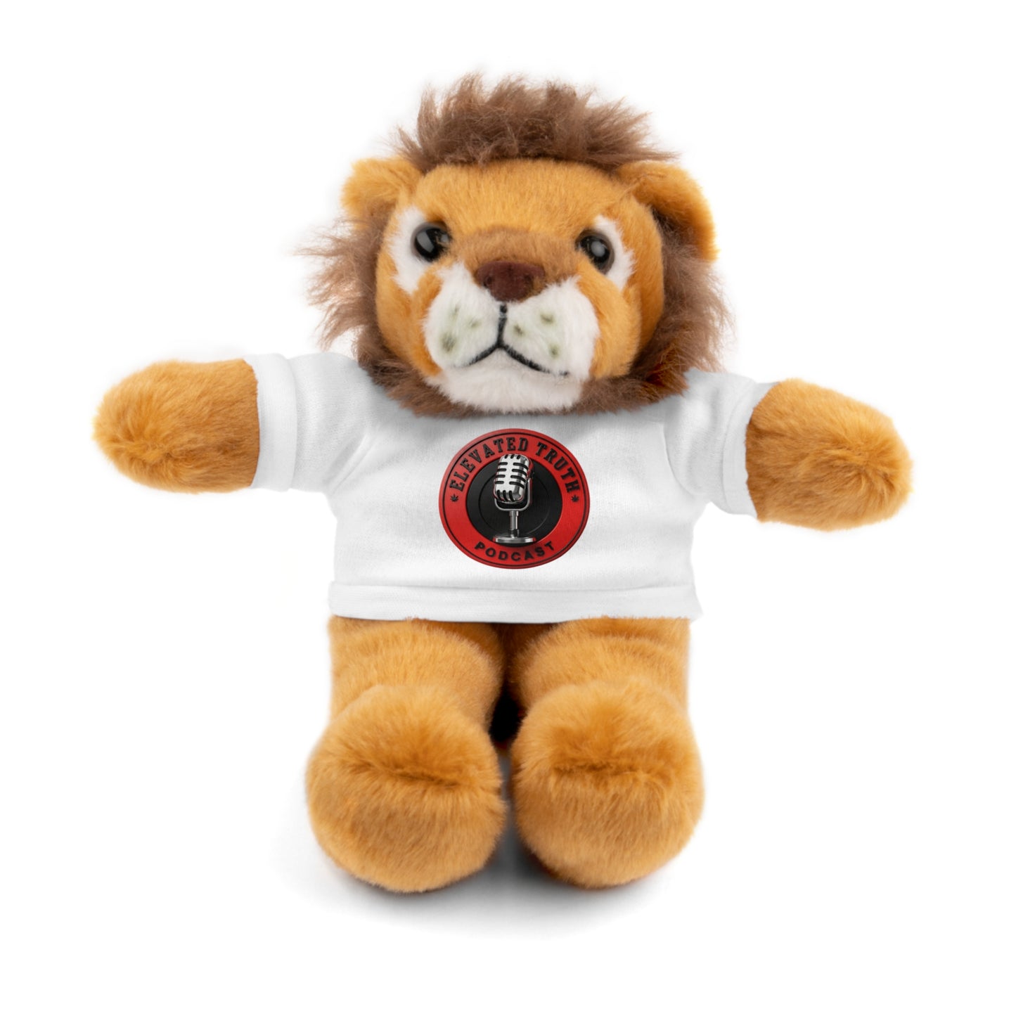 Elevated Truth Podcast Logo Teddy Bear with 'Disaster Zone' Tee — Plush Gift for Fans