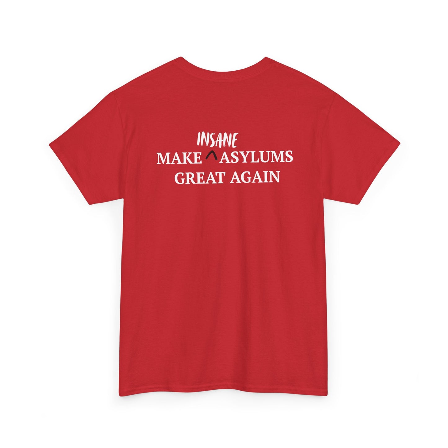 Make Insane Asylums Great Again T-Shirt