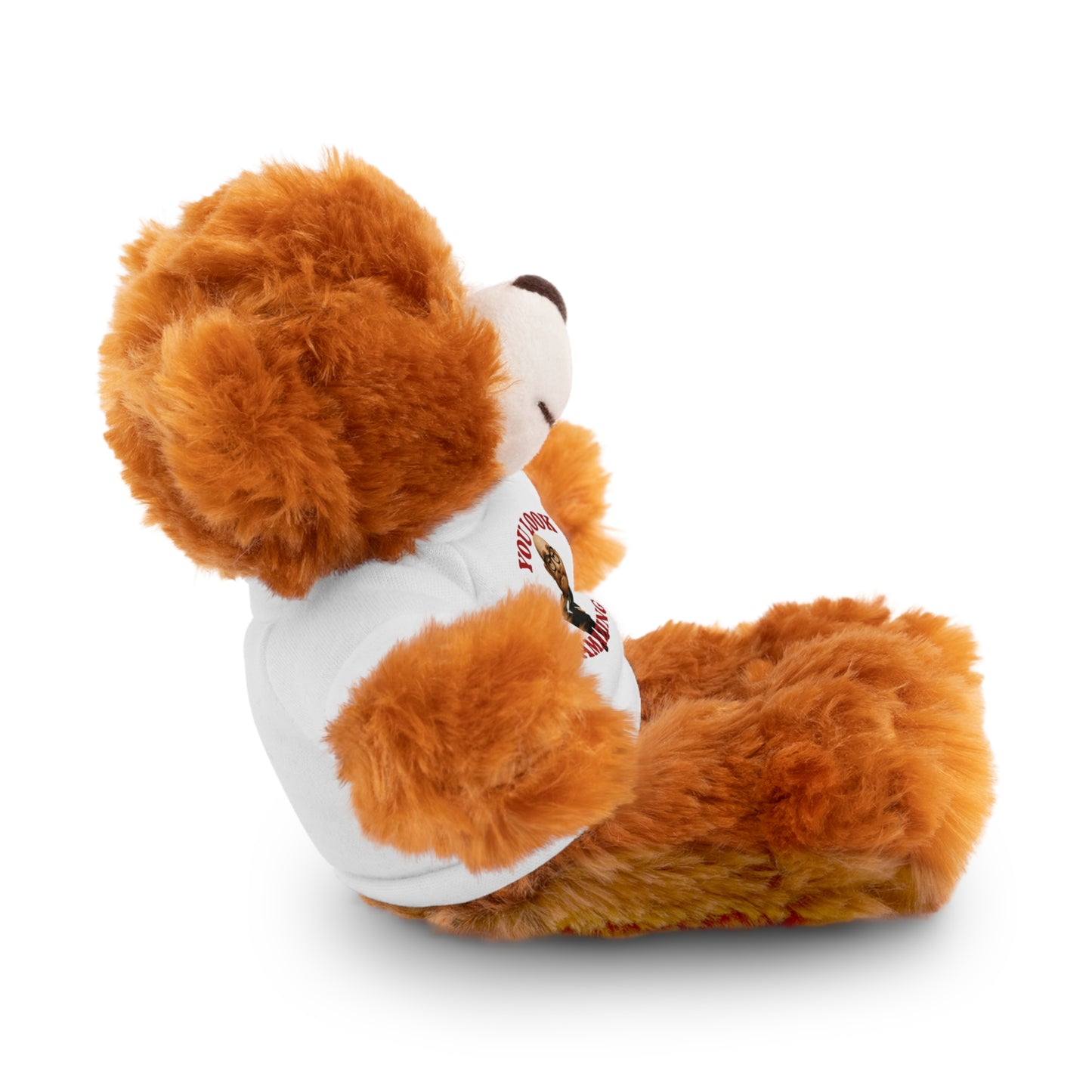 Fluffy Bear Plush with "You Look Amazing" Tee — Cute Gift for Friends & Loved Ones