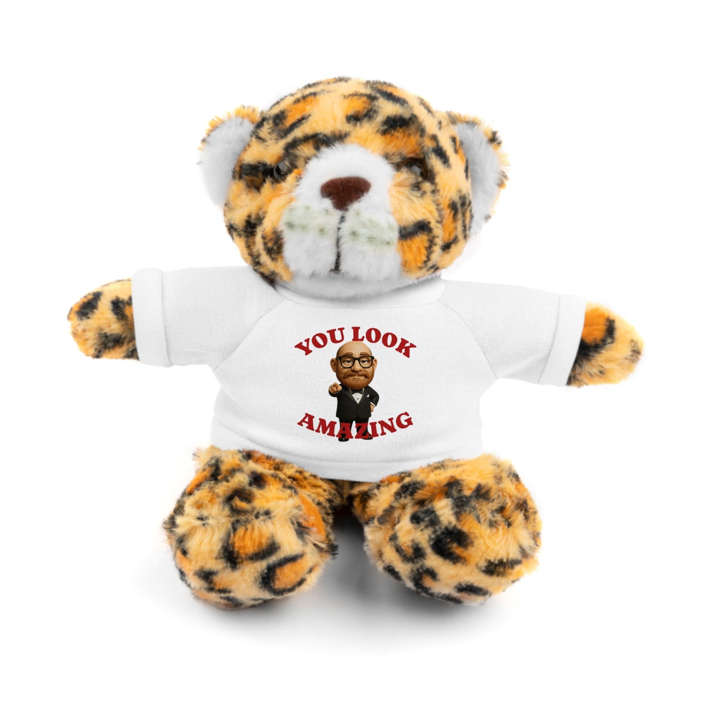 Fluffy Bear Plush with "You Look Amazing" Tee — Cute Gift for Friends & Loved Ones