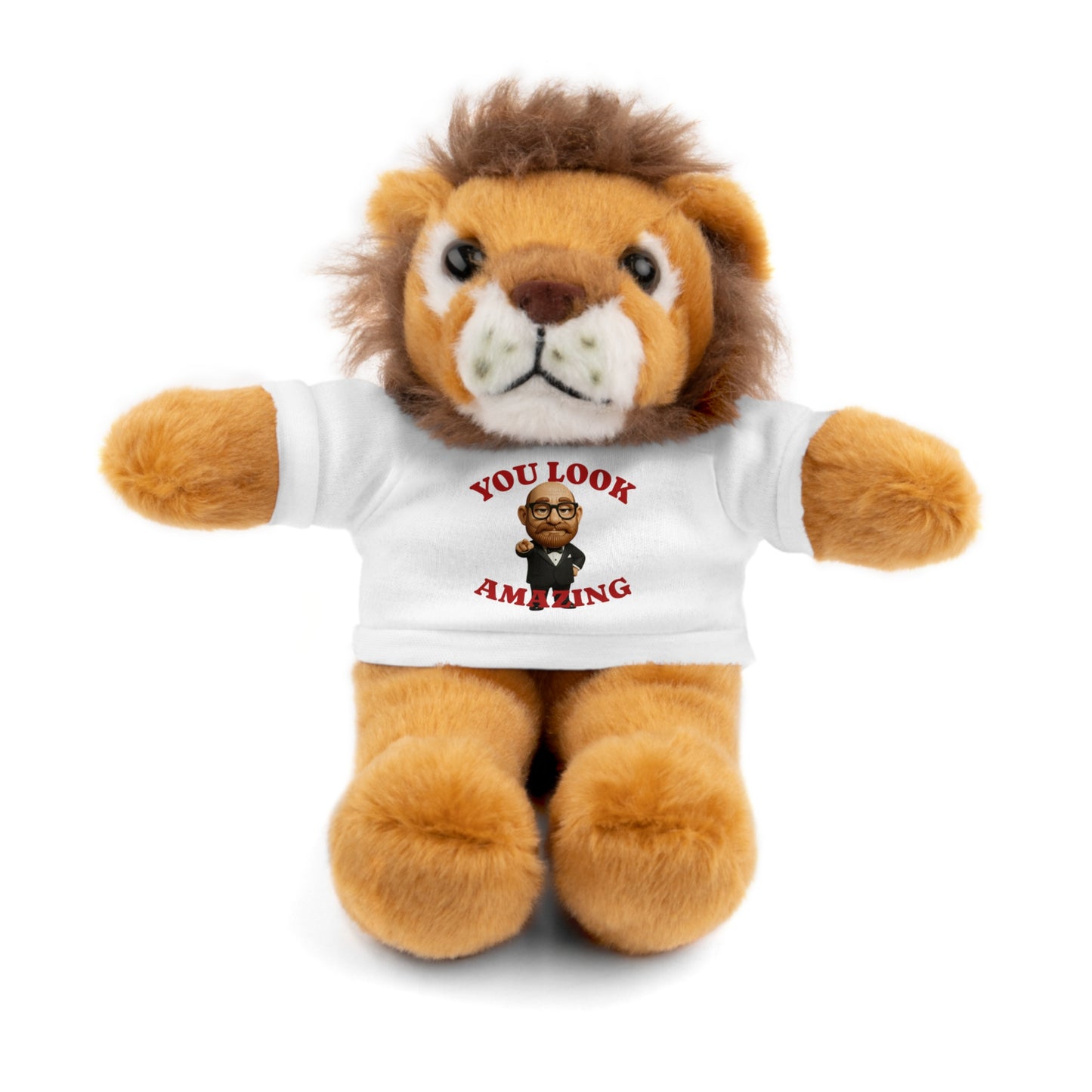 Fluffy Bear Plush with "You Look Amazing" Tee — Cute Gift for Friends & Loved Ones