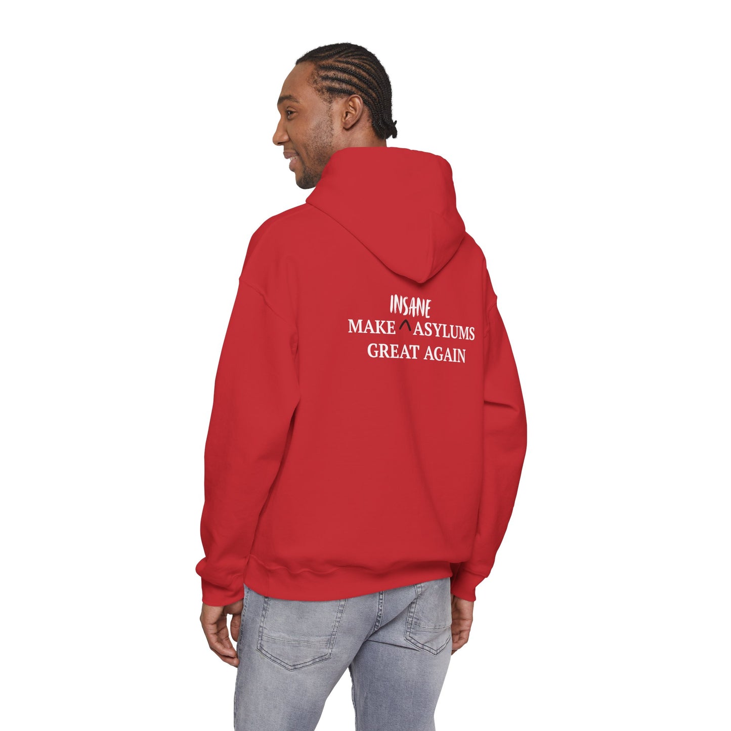 MAKE INSANE ASYLUMS GREAT AGAIN- HoodiePullover