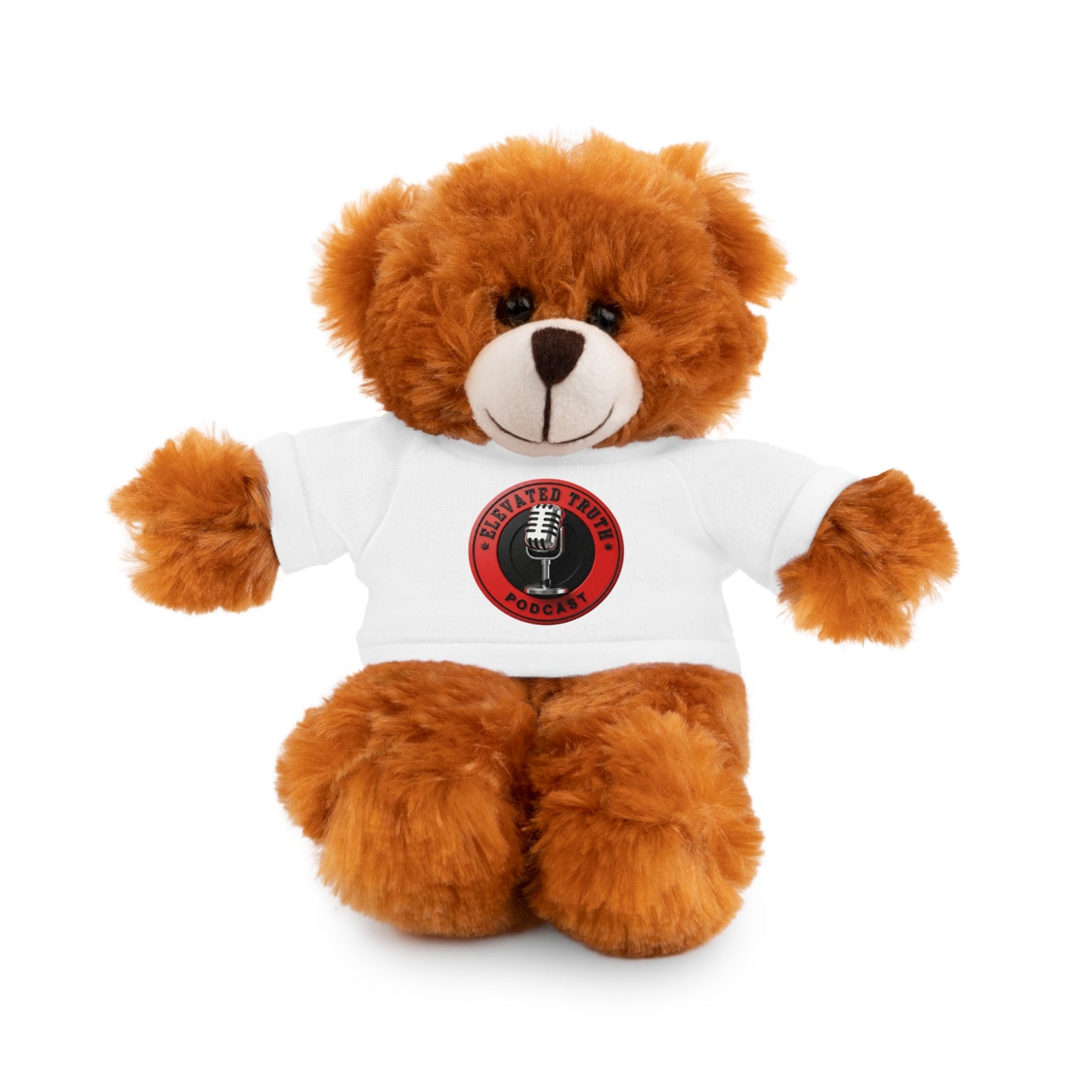Elevated Truth Podcast Logo Teddy Bear with 'Disaster Zone' Tee — Plush Gift for Fans