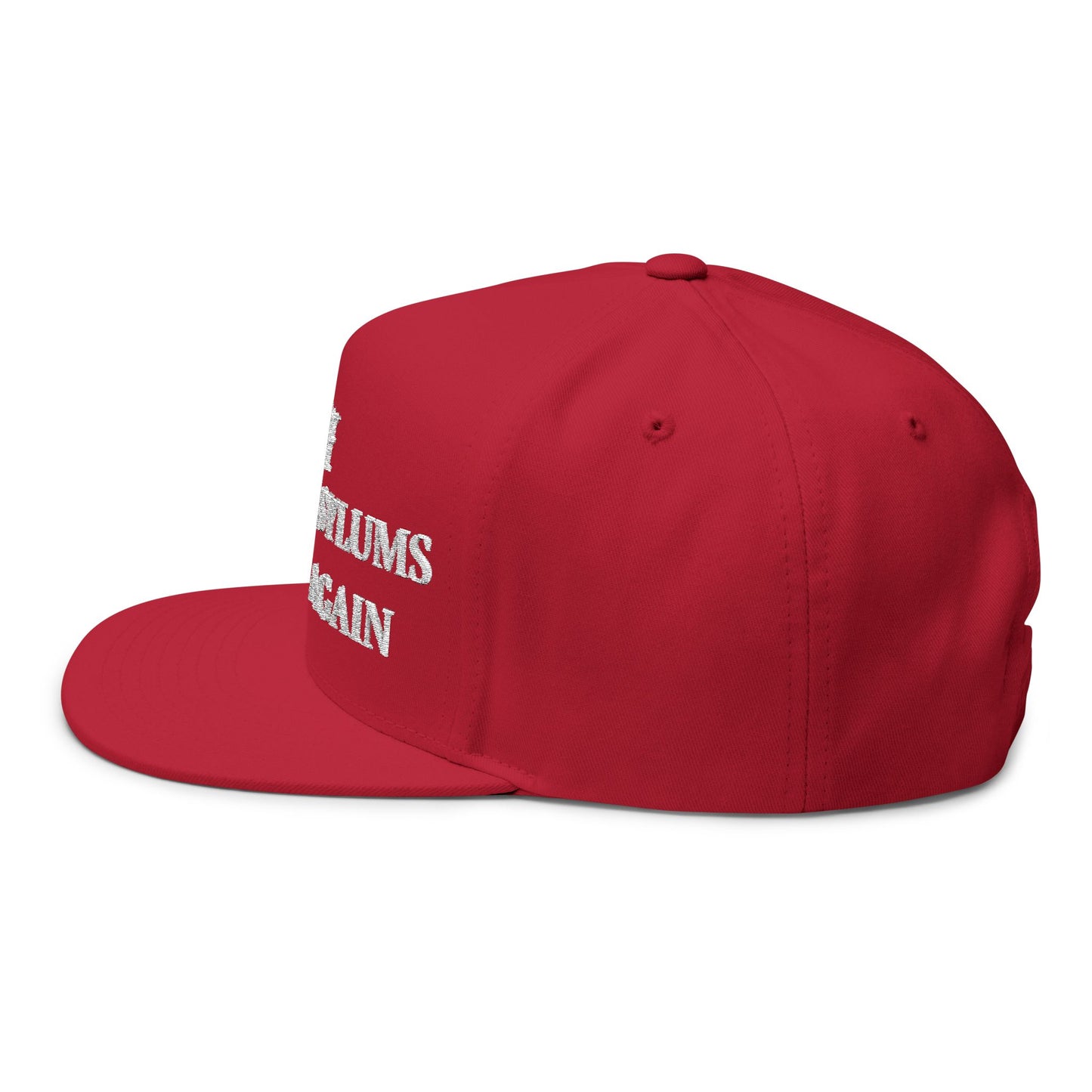 Flat Bill Cap — 'MAKE INSANE ASYLUM GREAT AGAIN ' Embroidered Snapback