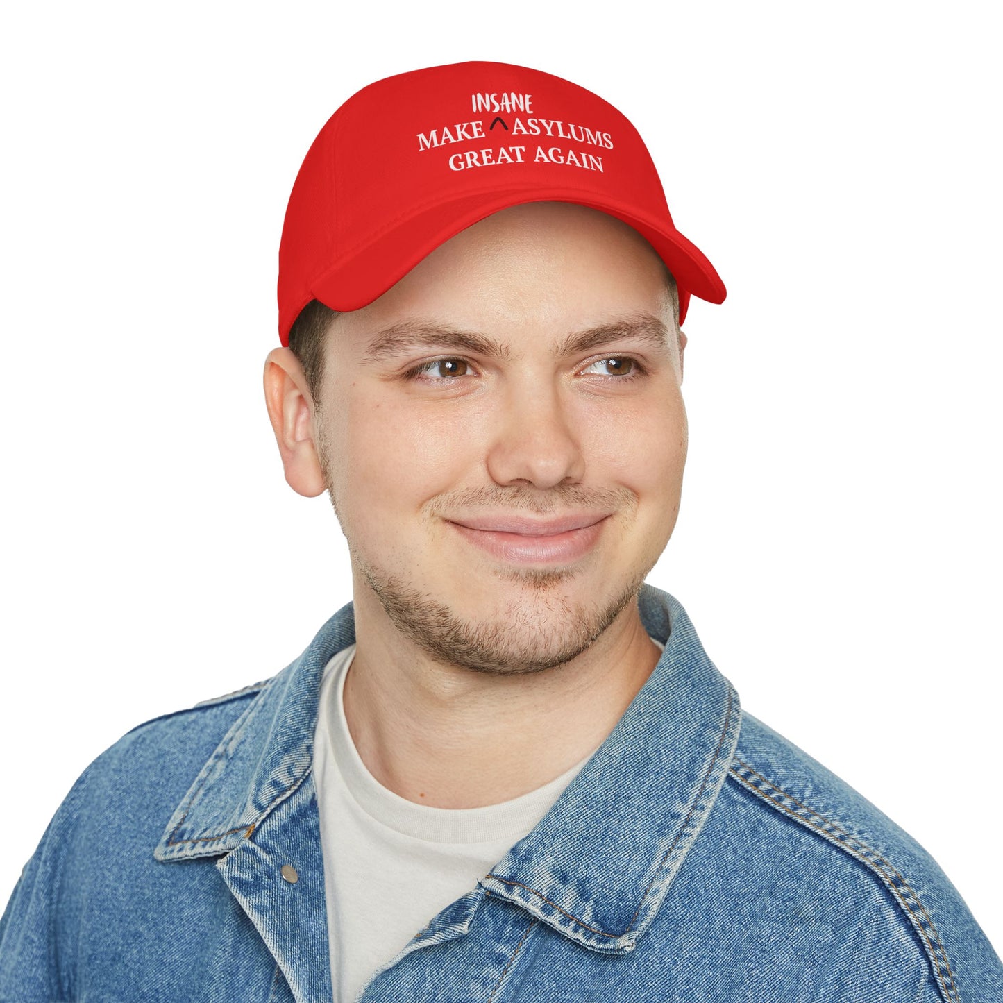 Low Profile Cap — "Make Insane Asylums Great Again" Political Statement Hat